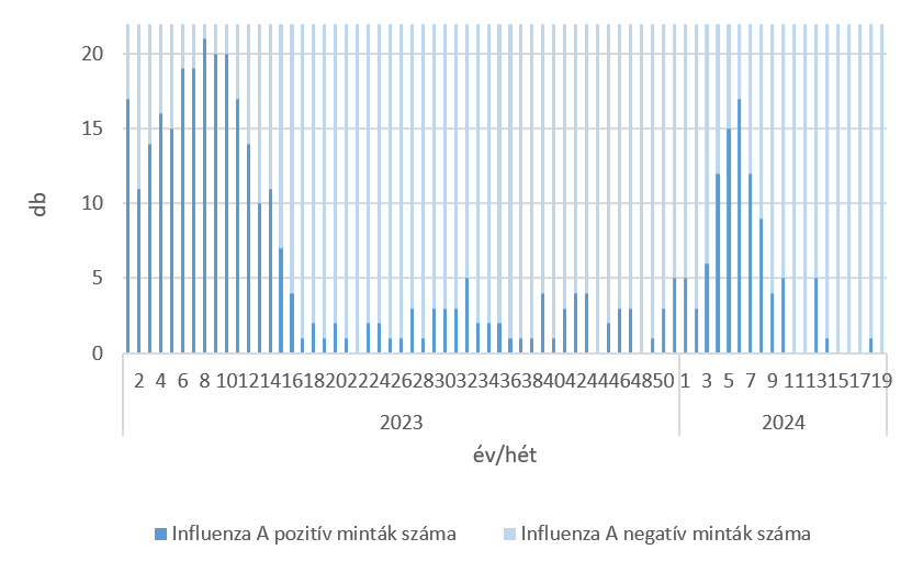 szennyviz 2024 19 6